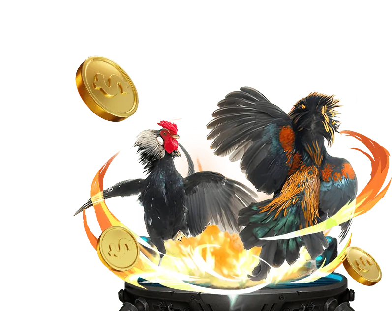 Hoàn trả hàng ngày BI88 Daga