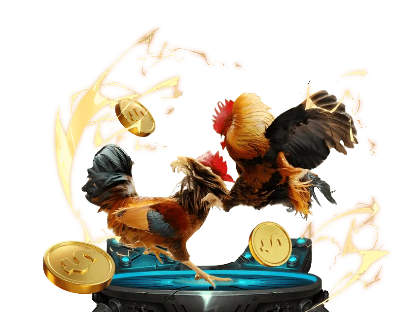 Giao diện đặt cược đá gà Bi88 Daga